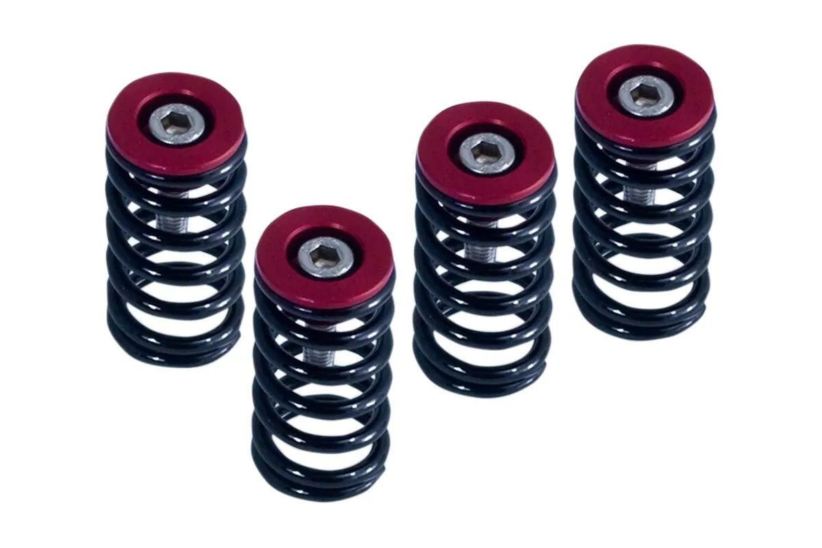 CLUTCH SPRG W/RED DUCATI