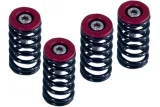 CLUTCH SPRG W/RED DUCATI