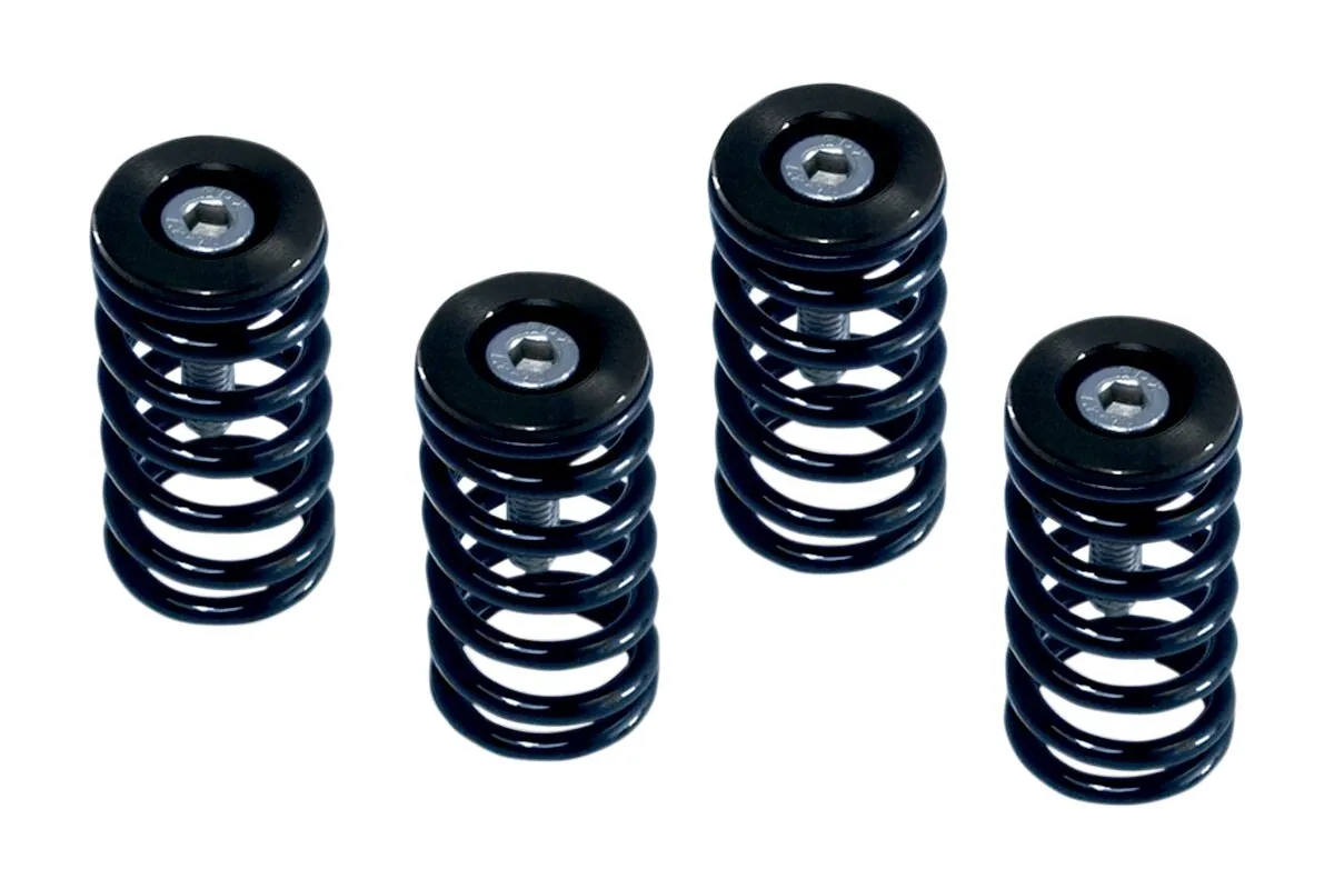 CLUTCH SPRG W/BLK DUCATI