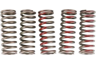 SPRINGS CLUTCH CRF250R