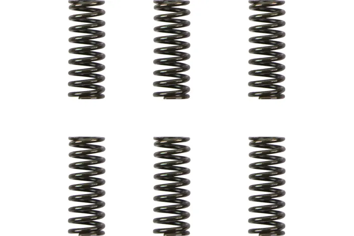 CLUTCH SPRING KIT DUCATI