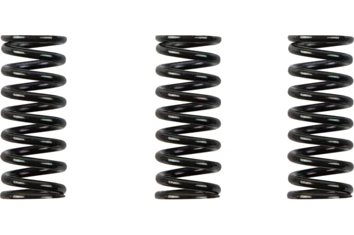 CLUTCH SPRING KIT DUCATI