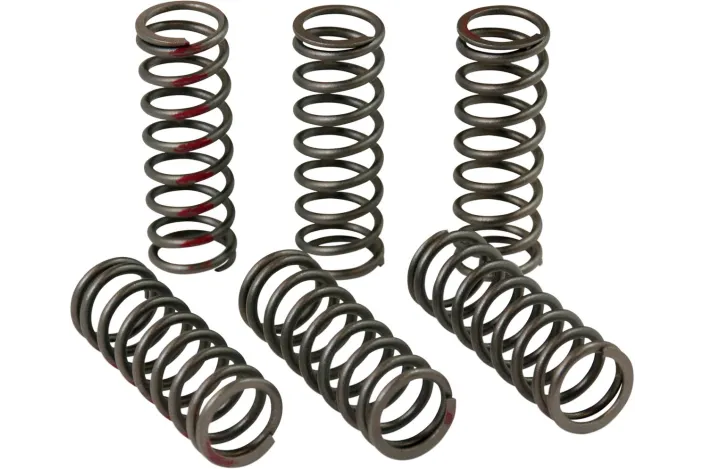 CLUTCH SPRINGS CRF450R