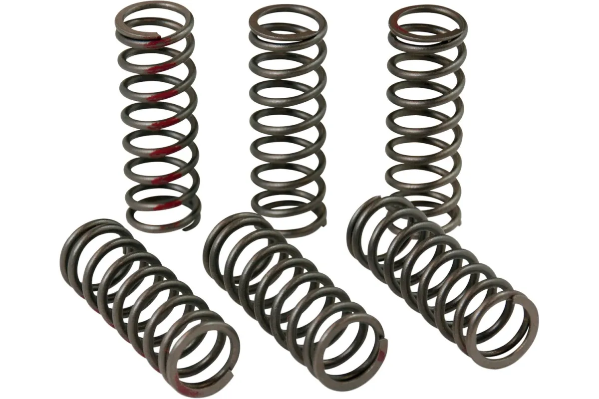 CLUTCH SPRINGS CRF450R