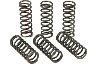 CLUTCH SPRINGS CRF450R