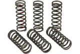 CLUTCH SPRINGS CRF450R