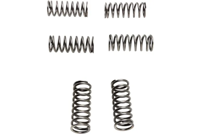 CLUTCH SPRING SET (6 PCS)