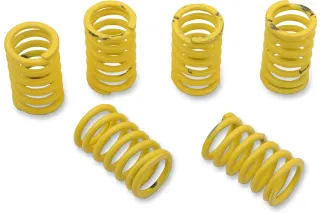 SPRING CLUTCH SET KAW