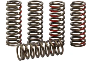 SPRINGS CLUTCH CRF250R