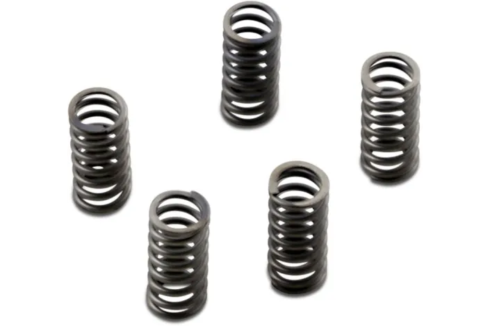 CLUTCH SPRING SET CSK
