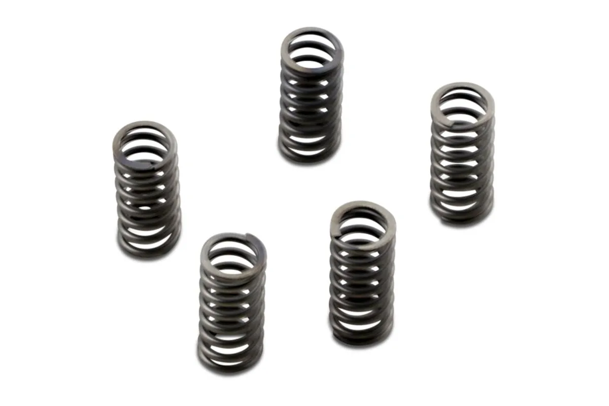 CLUTCH SPRING SET CSK