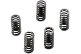 CLUTCH SPRING SET CSK