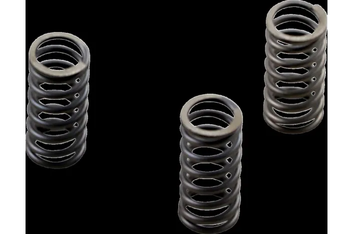 CLUTCH SPRING SET CSK