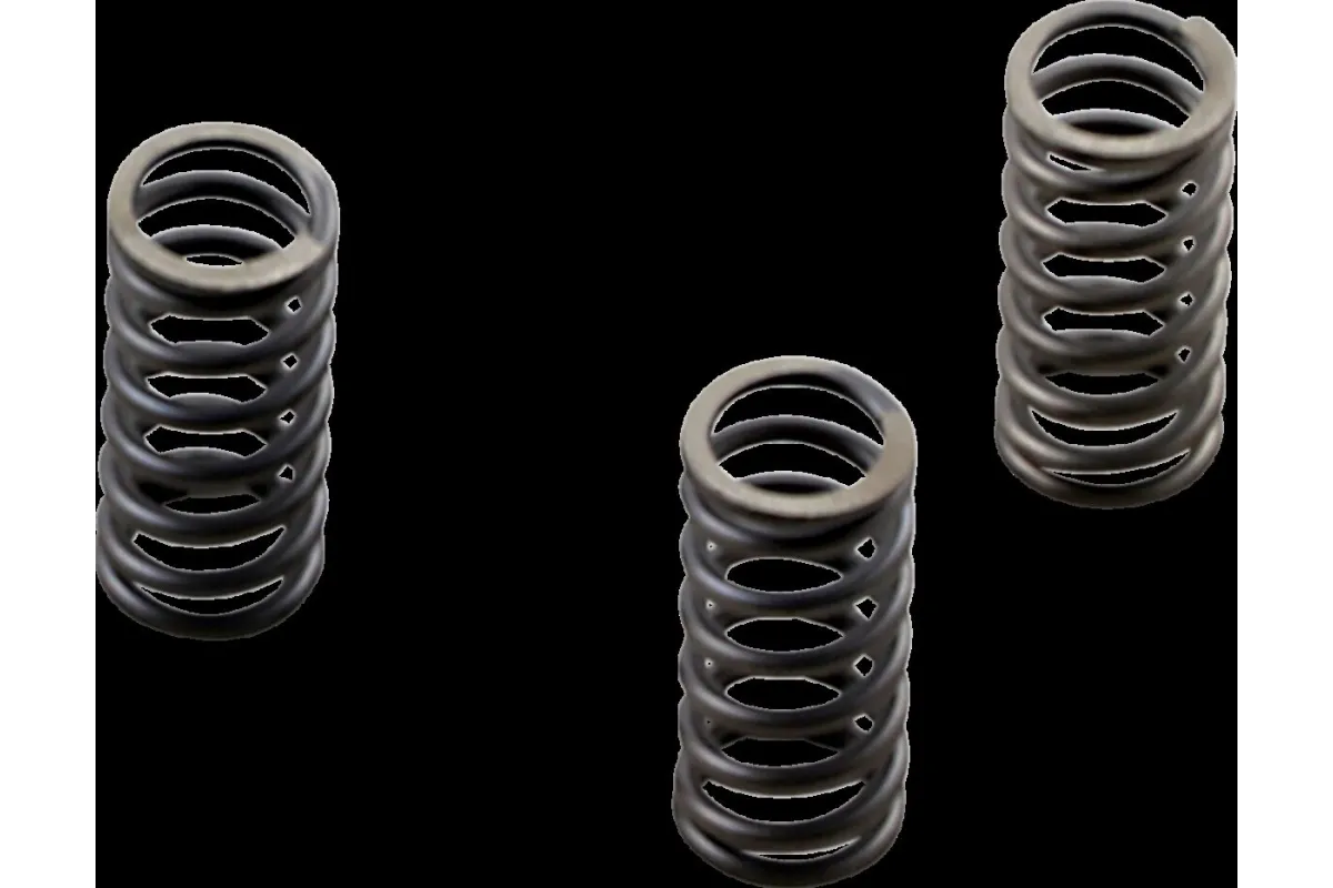 CLUTCH SPRING SET CSK