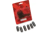 CLUTCH SPRING SET (6 PCS)