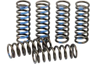 SPRINGS CLUTCH YZ250F