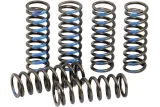 SPRINGS CLUTCH YZ250F