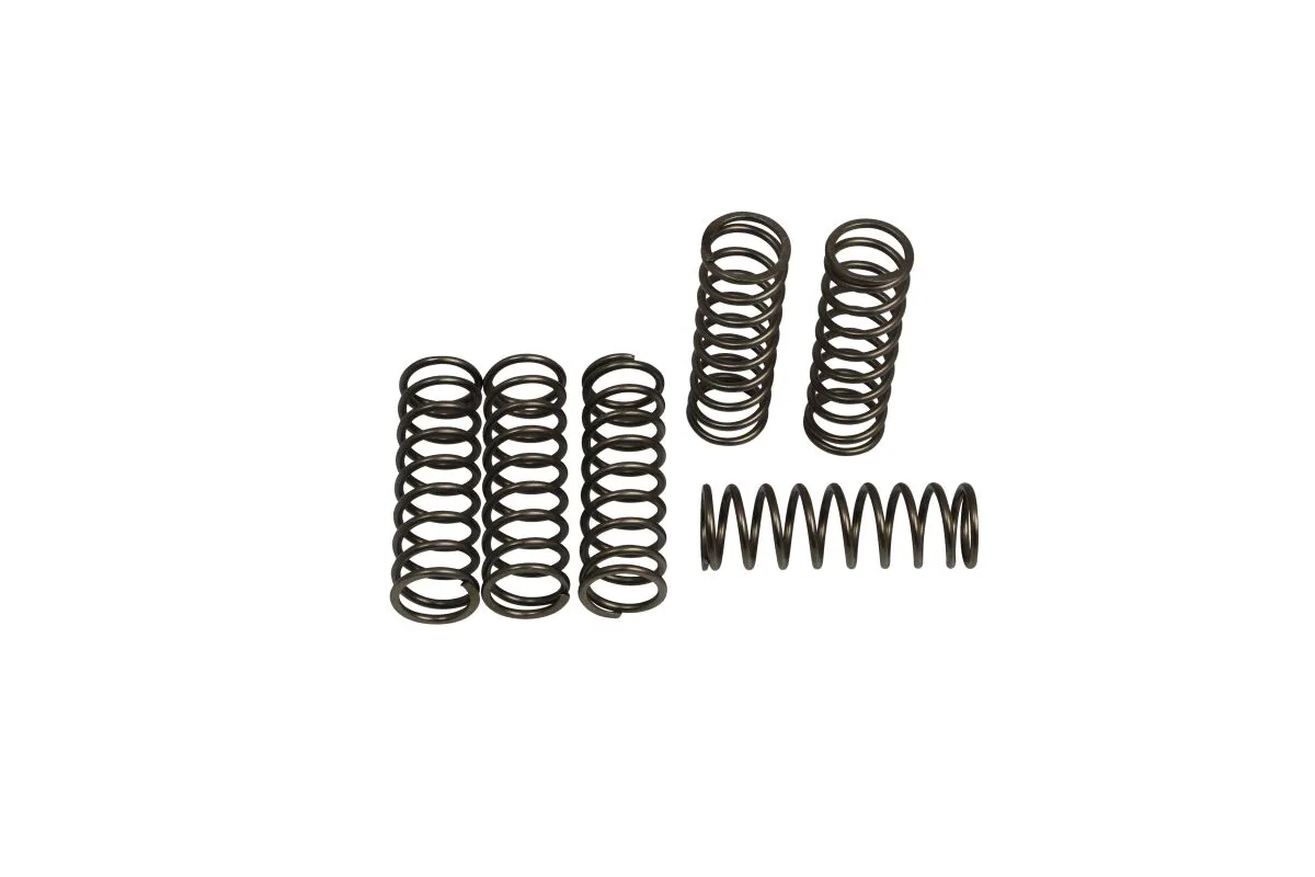 CLUTCH SPRING SET (6 PCS)