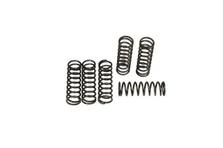 CLUTCH SPRING SET (6 PCS)