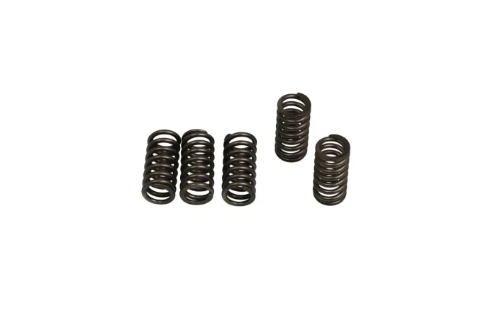 CLUTCH SPRING SET (6 PCS)