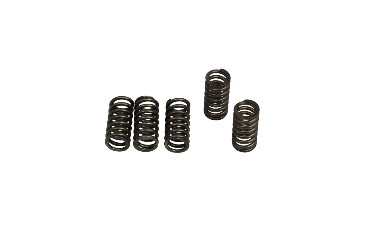 CLUTCH SPRING SET (6 PCS)