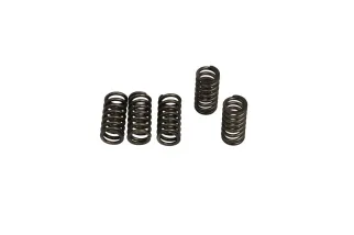 CLUTCH SPRING SET (6 PCS)