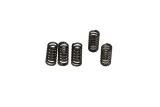 CLUTCH SPRING SET (6 PCS)