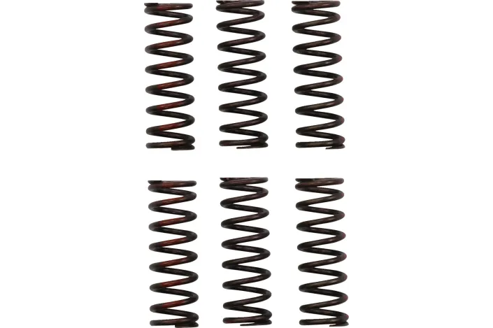 CLUTCH SPRING CRF450R