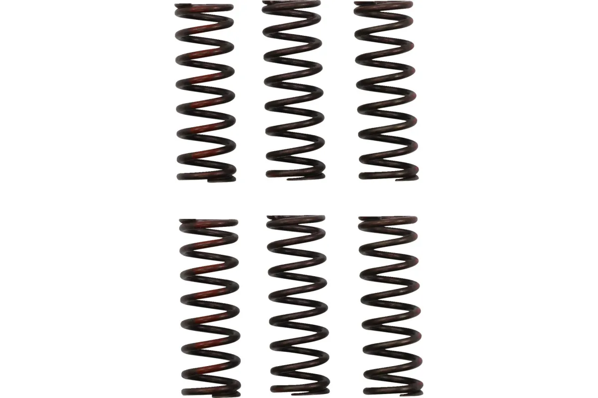 CLUTCH SPRING CRF450R