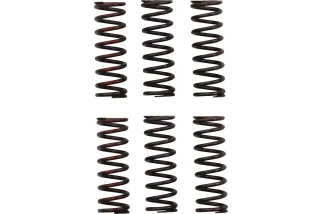 CLUTCH SPRING CRF450R