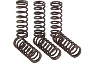 CLUTCH SPRING CRF450R