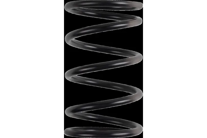 PRIMARY CLUTCH SPRING (BLACK/R