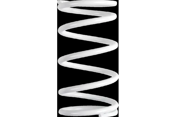 PRIMARY CLUTCH SPRING (WHITE) 