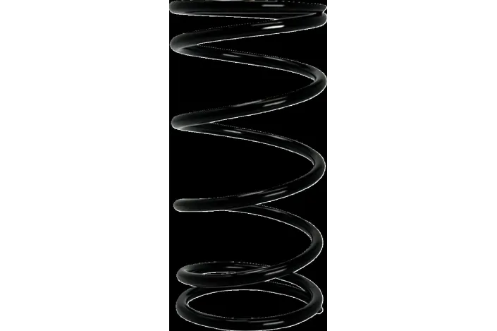 PRIMARY CLUTCH SPRING (BLACK) 