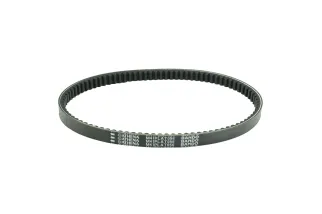 BELT DRIVE PLATINUM YAM