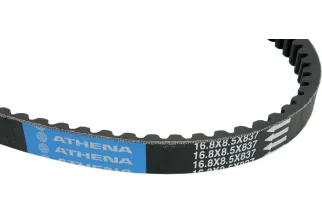 BELT TRAN 16.8X8.5X837