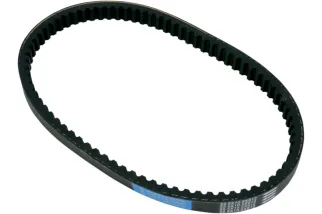 BELT TRAN 22.5X10.5X812