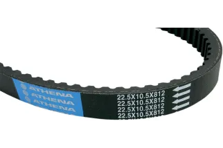 BELT TRAN 22.5X10.5X812