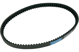 BELT TRAN 22.1X10.2X918