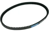 BELT TRAN 22.1X10.2X918