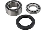 CHAINCASE BEARING-SEAL KT