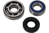 CHAINCASE BEARING-SEAL KT