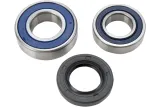 CHAINCASE BEARING-SEAL KT