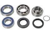 CHAINCASE BEARING-SEAL KT