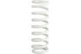 SHOCK SPRING SX65 25