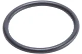 O RING COMP ADJUSTER PIST