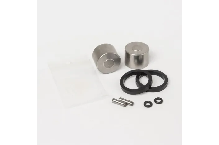 REAR CALIPER REBUILD KIT