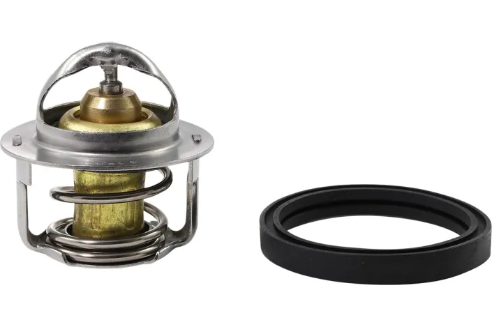 THERMOSTAT POLARIS