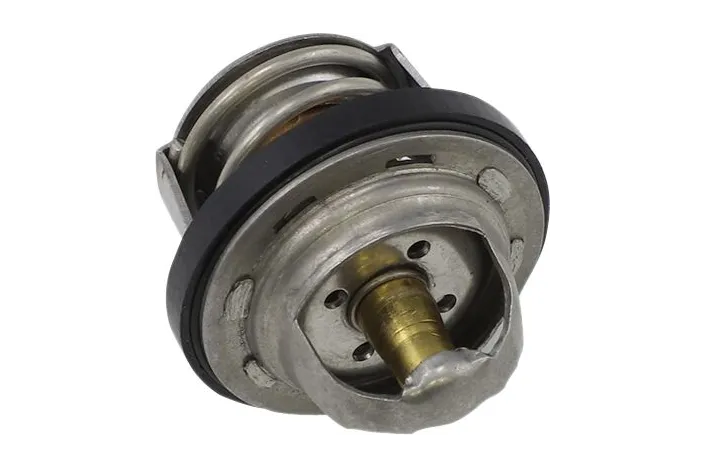 THERMOSTAT POLARIS