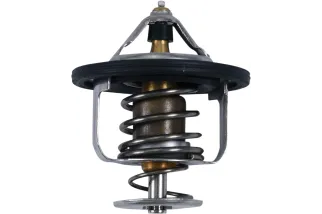 THERMOSTAT POLARIS